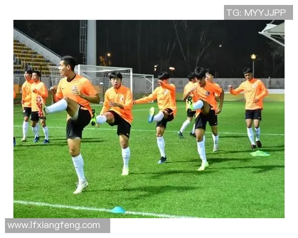 足球明星踢法图解视频揭秘技巧与训练方法助你提升球技