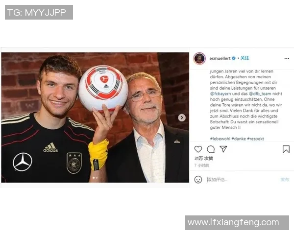 恩佐足球明星的传奇故事与辉煌成就揭秘